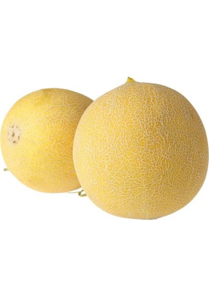Kavun Kırıkhan 4000 gr