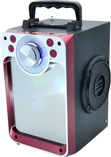 822S Taşınabilir Kablosuz Büyük Boy Bluetooth Hoparlör