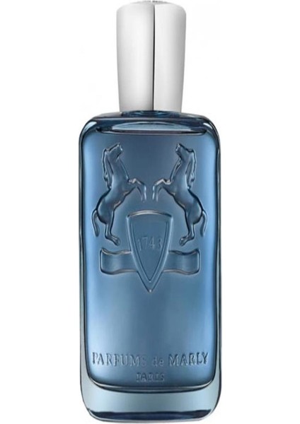 Sedley Edp 125 ml Erkek Parfümü fiyatları