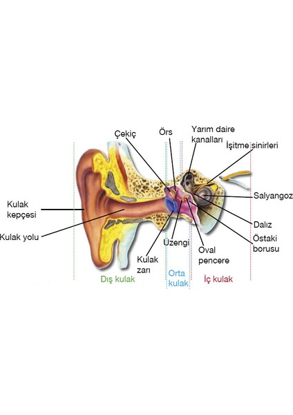 2 Kutu x Relife Kulak Temizleme Mumu Çubuğu Ear Candle