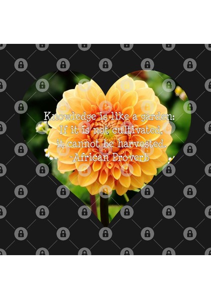 Knowledge İs Like A Garden Kupa Bardak