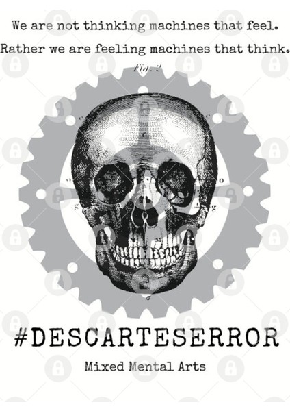 Descartes Error Kupa Bardak