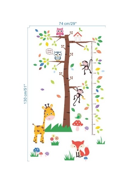 Gelişim Boy Ölçer Zürafa Maymun Tilki Baykuş Renkli Orman Çocuk Odası Ev Duvar Sticker fiyatları