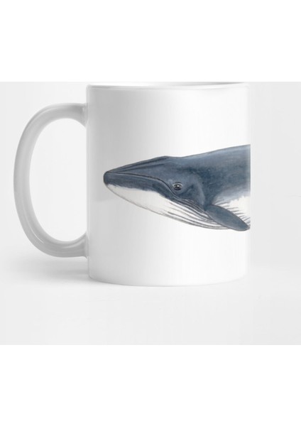 Baby Whale Kupa Bardak