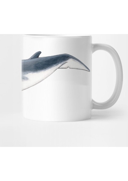 Baby Whale Kupa Bardak