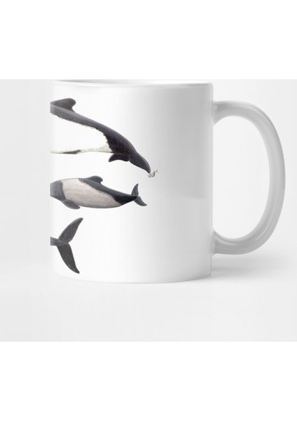 Commerson´S Dolphin Kupa Bardak