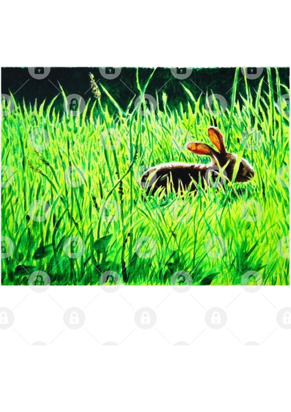 Rabbit İn The Grass Kupa Bardak