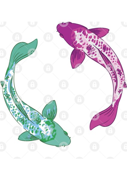 Koi Fish Yin Yang Kupa Bardak