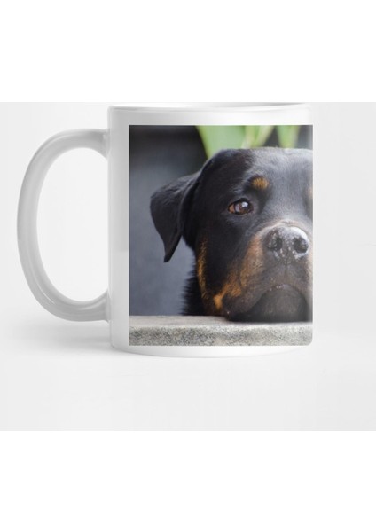 Rottweiler Second Kupa Bardak