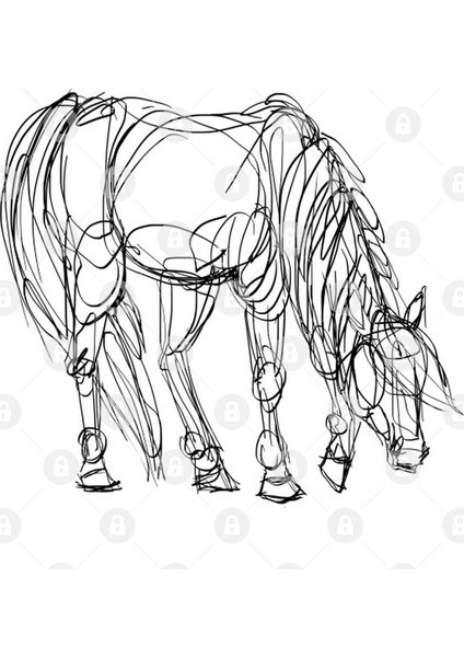 Little Line Horse Kupa Bardak