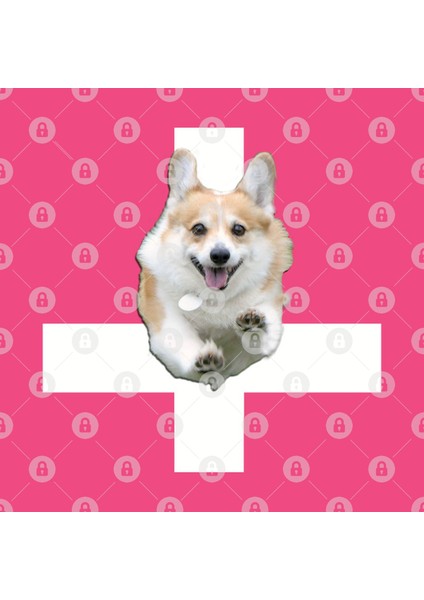 The Original Corgı Cross Cassidy'S Shirt İn Preacher Kupa Bardak