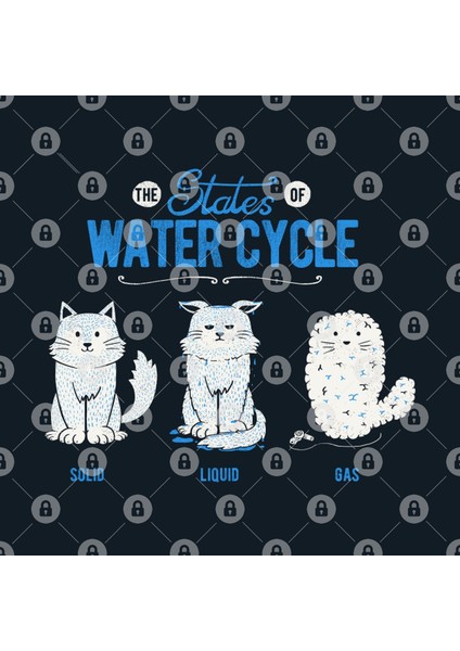 The States Of The Water Cycle Kupa Bardak