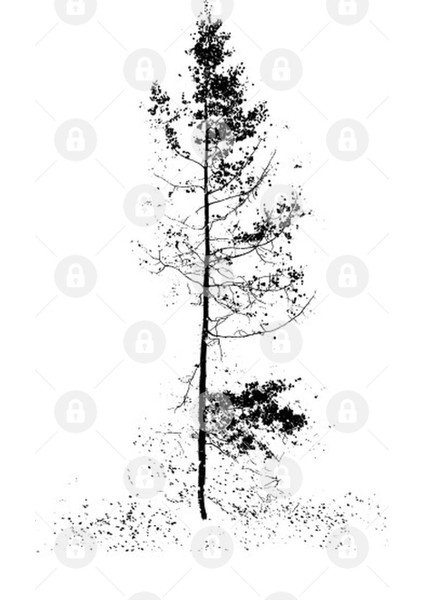 Abstract Autumn Aspen Kupa Bardak