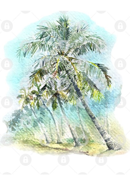 Biyyam Backwater Lake And Coconut Trees - Kerala. Kupa Bardak