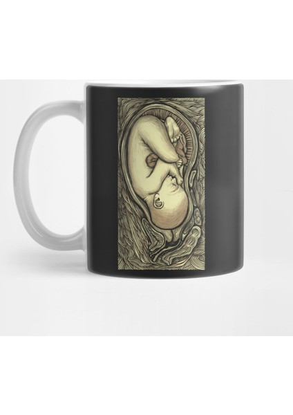 Fetus İn Utero Kupa Bardak
