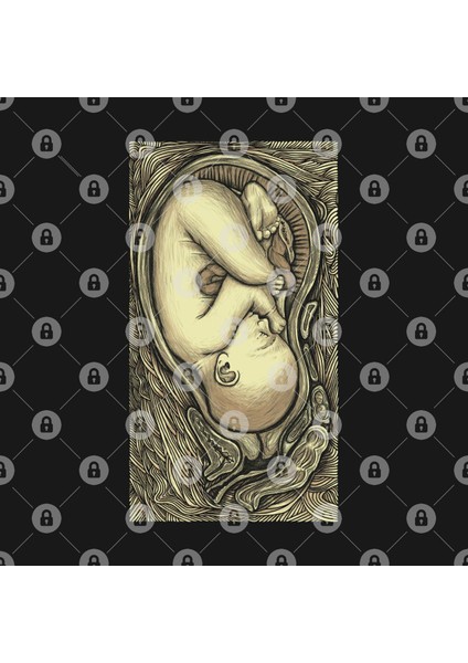 Fetus İn Utero Kupa Bardak