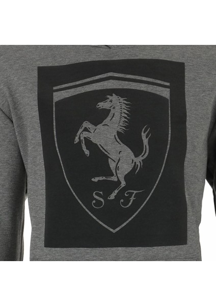 57668303 Ferrari Hoodie modelleri