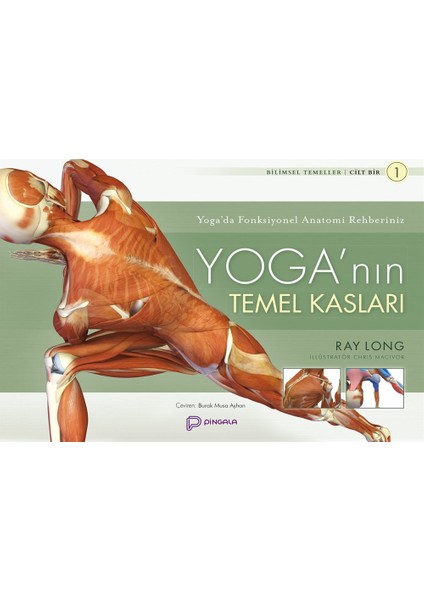 Yoga'nın Temel Kasları - Ray Long