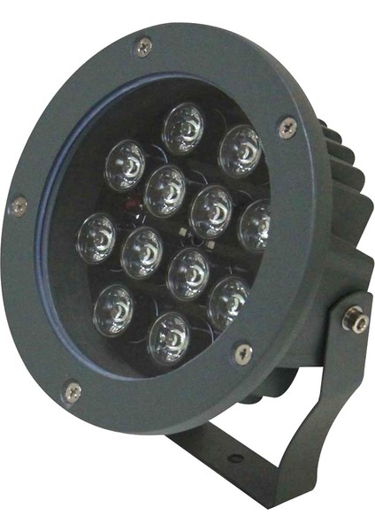 12W LED Bahçe Peyzaj Spotu Günışığı