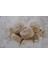 Ruşur Taşı 3 Lü Paket 3