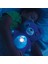 Star Belly Dream Lites Işık Gösterili Ayıcık 4