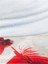 Snow Tube Fish Flag 4