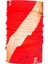 Snow Tube Dive Flag 1