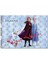 Frozen 2 Resim Defteri 15 Yaprak Ferforajlı Kolay Yırtılan 25 x 35 cm 1