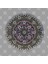 Cell Growth Mandala Kupa Bardak 3