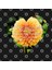Knowledge İs Like A Garden Kupa Bardak 3