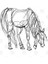 Little Line Horse Kupa Bardak 3