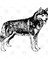 Husky Kupa Bardak 3