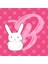 B For Bunny Kupa Bardak 3
