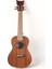 SIMBA26 Tenor Ukulele - Soft Case 1