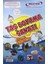 Taş Boyama Sanatı 1