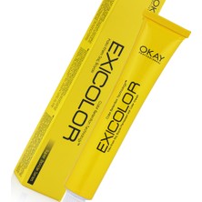 Exicolor Saç Boyası Tüp 60 ml 1001 Ekstra Küllü Açık Sarı 2 Adet (Oksidan 4'lü Set)