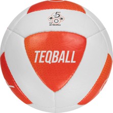 Teqi Teq Teqball Topu