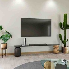 Scandinavian Concept Metal Tv Ünitesi