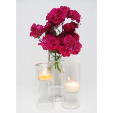 Missi 15 cm Clear Cam Mumluk ve Tealıght Seti