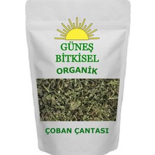 GÜNEŞ BAHARAT Çobançantası