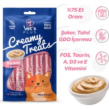 Vet's Plus Somonlu Krema Kedi Ödülü 5x14gr