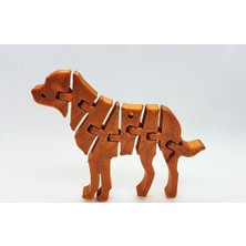 Renkli Evren Köpek Anahtarlık