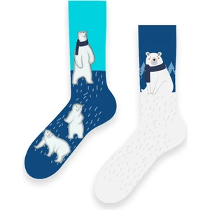 Carnaval Socks Sağlı Sollu Kutup Ayısı Desenli Renkli Çorap
