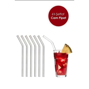 Pims Home Dekorasyon Şeffaf 6'lı Cam Eğimli Pipet | Cam Pipet