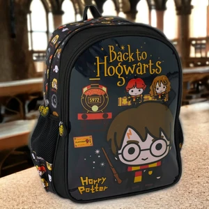 Harry Potter Okul Çantası 2110