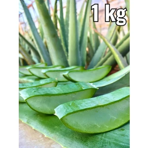 Aoe vera Jel Yaprak, alovera jel için Doğal, Aloe Vera Leaf