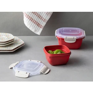 English Home Master Lock Plastik 2'li Saklama Kabı 275 + 500 ml Kırmızı