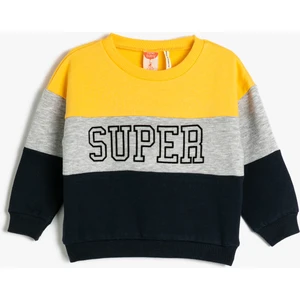 Sweatshirt Renk Bloklu Bisiklet Yaka Pamuklu