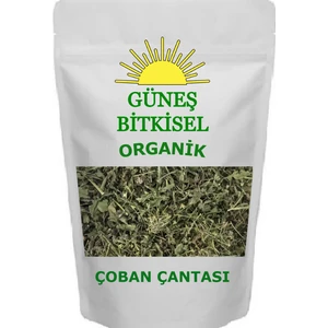 GÜNEŞ BAHARAT Çobançantası