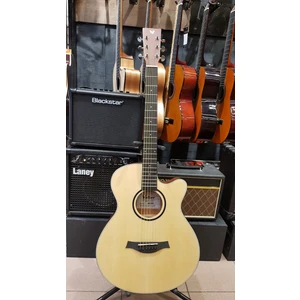 AGX300 Elektro Akustik Gitar